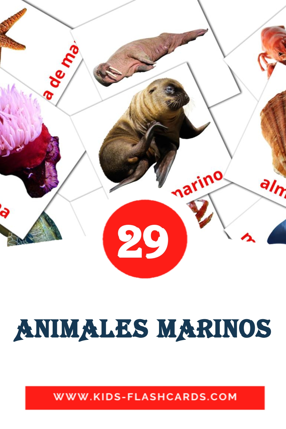 29 Cartões com Imagens de ANIMALES MARINOS para Jardim de Infância em ahmárico