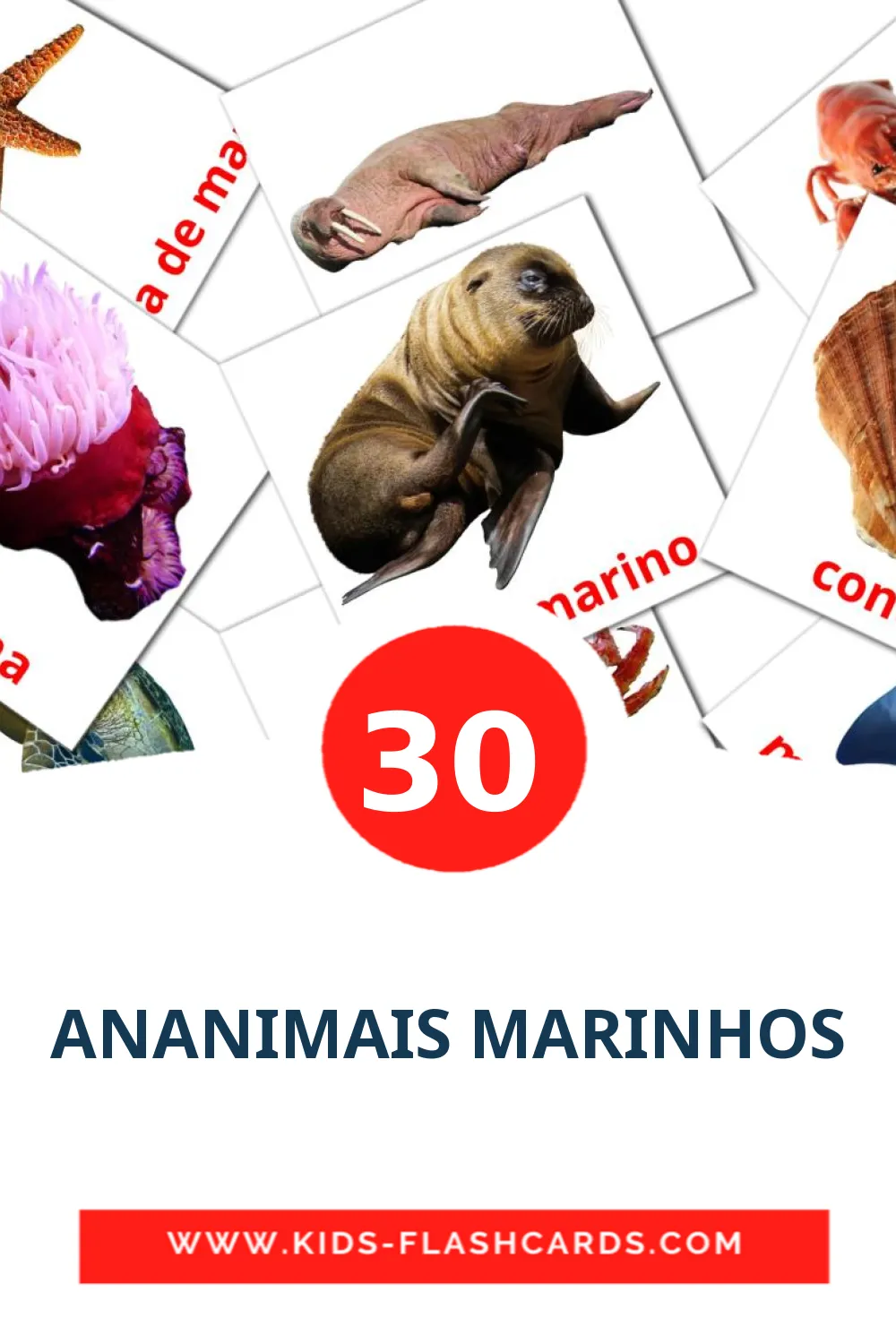 30 ANANIMAIS MARINHOS fotokaarten voor kleuters in het ahmaric