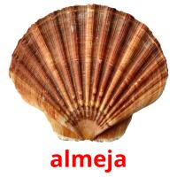 almeja picture flashcards