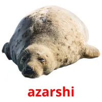 azarshi Bildkarteikarten