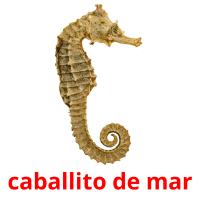 caballito de mar карточки энциклопедических знаний
