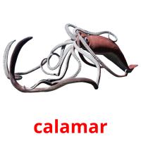 calamar cartões com imagens