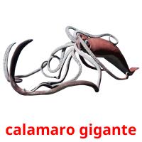 calamaro gigante cartões com imagens