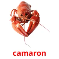 camaron Bildkarteikarten