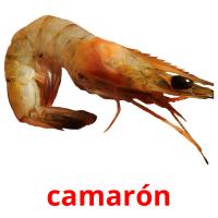 camarón cartões com imagens