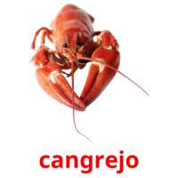 cangrejo Bildkarteikarten
