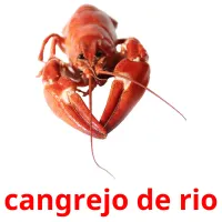 cangrejo de rio ansichtkaarten