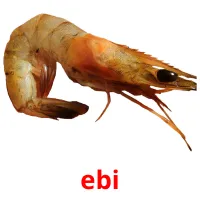 ebi Bildkarteikarten