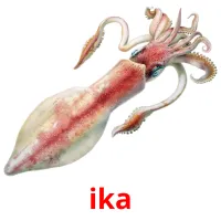 ika Bildkarteikarten