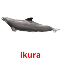 ikura Bildkarteikarten