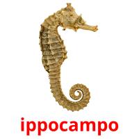 ippocampo cartões com imagens