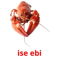 ise ebi Bildkarteikarten