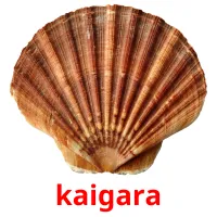kaigara Bildkarteikarten
