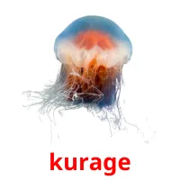 kurage Bildkarteikarten