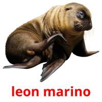 leon marino picture flashcards