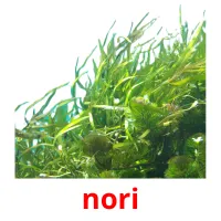 nori Bildkarteikarten