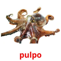 pulpo ansichtkaarten