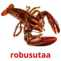 robusutaa Bildkarteikarten