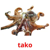 tako Bildkarteikarten