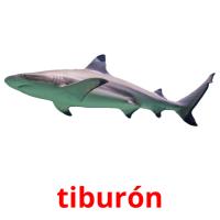tiburón picture flashcards