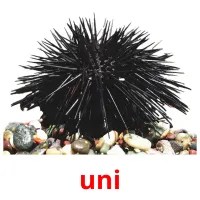 uni Bildkarteikarten