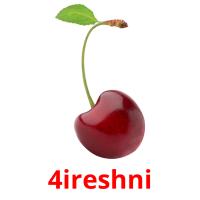 4ireshni picture flashcards