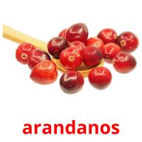 arandanos picture flashcards