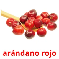 arándano rojo Tarjetas didacticas