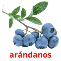 arándanos cartões com imagens