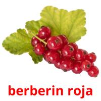 berberin roja picture flashcards