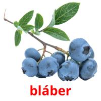 bláber picture flashcards