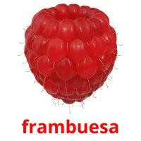 frambuesa Tarjetas didacticas