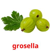 grosella picture flashcards