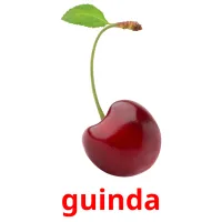 guinda Bildkarteikarten