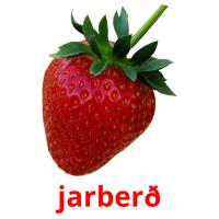 jarberð flashcards illustrate
