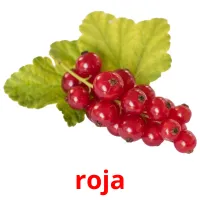 roja Bildkarteikarten