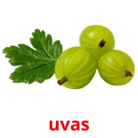 uvas cartes flash