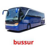 bussur picture flashcards