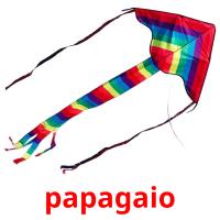 papagaio picture flashcards