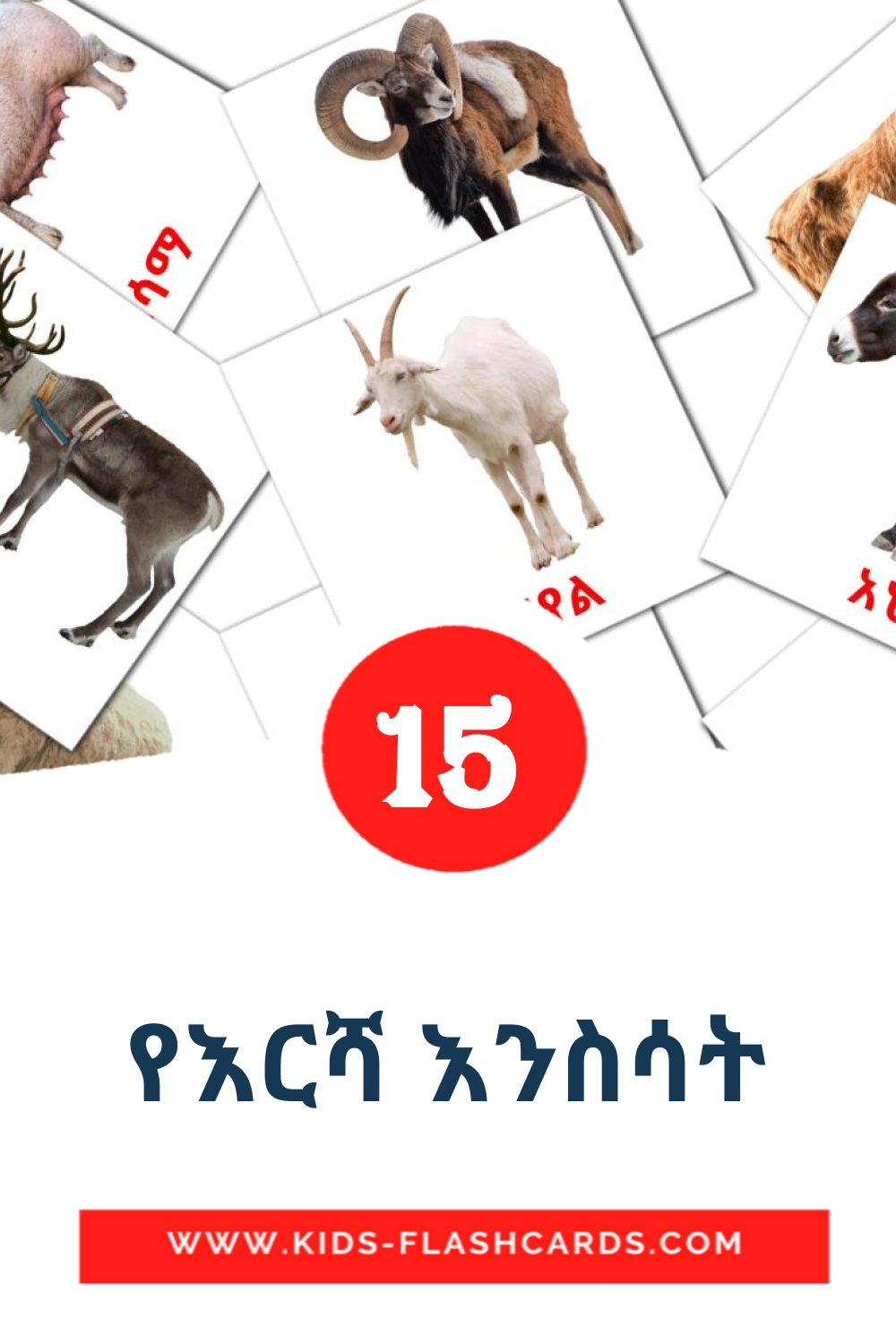 15 የእርሻ እንስሳት Picture Cards for Kindergarden in amharic