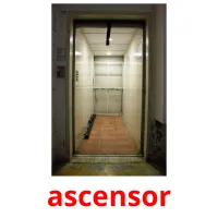 ascensor cartões com imagens