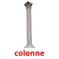 colonne cartões com imagens