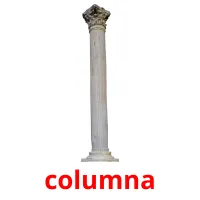 columna cartões com imagens