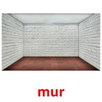 mur cartões com imagens