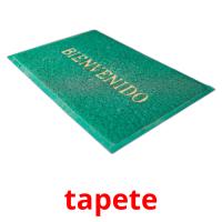 tapete flashcards illustrate