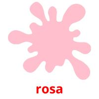 rosa picture flashcards