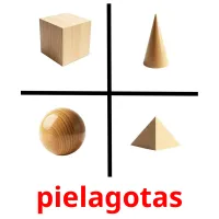 pielagotas picture flashcards