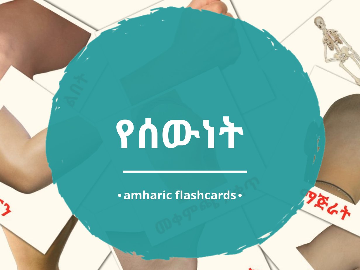 26-free-body-parts-flashcards-pdf-amharic-words