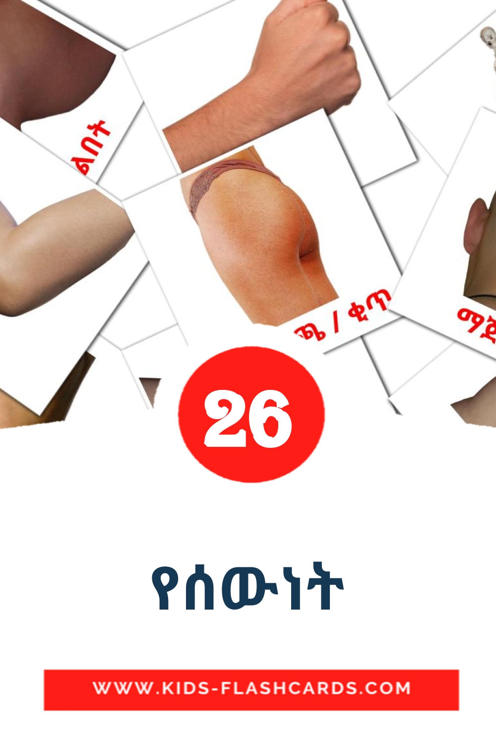26 የሰውነት Picture Cards for Kindergarden in amharic