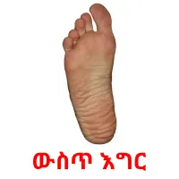 ውስጥ እግር picture flashcards